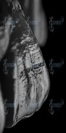 ArtPhoto 6